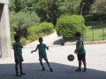 IMG_8882