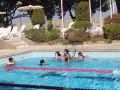 IMG_8994