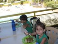 IMG_9071