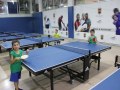 IMG_9101