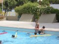 IMG_9143