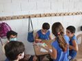 IMG_9153