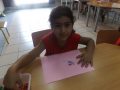 DSCF6533