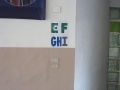e03b9e9e-6e88-401f-8a04-853f2db8c465