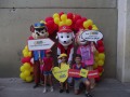 DSCF2062