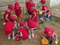 DSCF3096