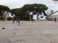IMG_0309
