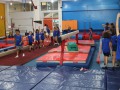 IMG_0310
