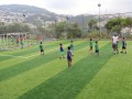 IMG_0350