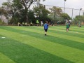 IMG_0357