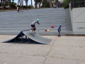 IMG_0407
