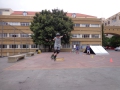 DSC01768