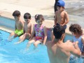 IMG_0613
