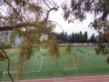 DSC01889