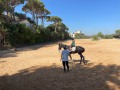 IMG_7366