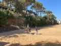 IMG_7376