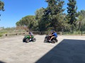 IMG_7493