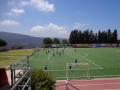 DSC01952
