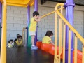 IMG_1241