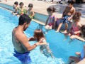 IMG_1290