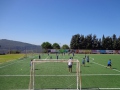 DSC02052