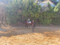 IMG_7941