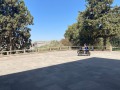 IMG_8037