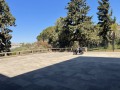 IMG_8041