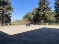 IMG_8044