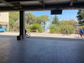 IMG_8054