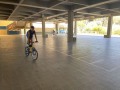 IMG_8237