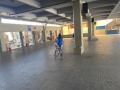 IMG_8247