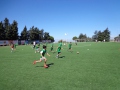 DSC02147
