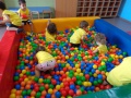 DSC02167