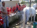IMG_1935