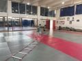 IMG_8952