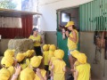 IMG_2981