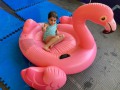 WhatsApp-Image-2023-07-28-at-7.08.16-PM-1