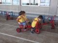 IMG_4527
