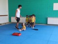 IMG_4554