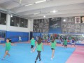 IMG_9236