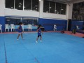 IMG_9240