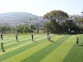 IMG_9347