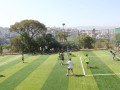 IMG_9353