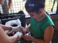 IMG_5463