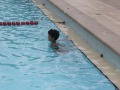 IMG_0366
