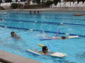 IMG_0954