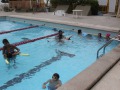 IMG_0955