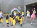 IMG_1237