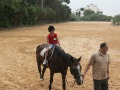 IMG_1347